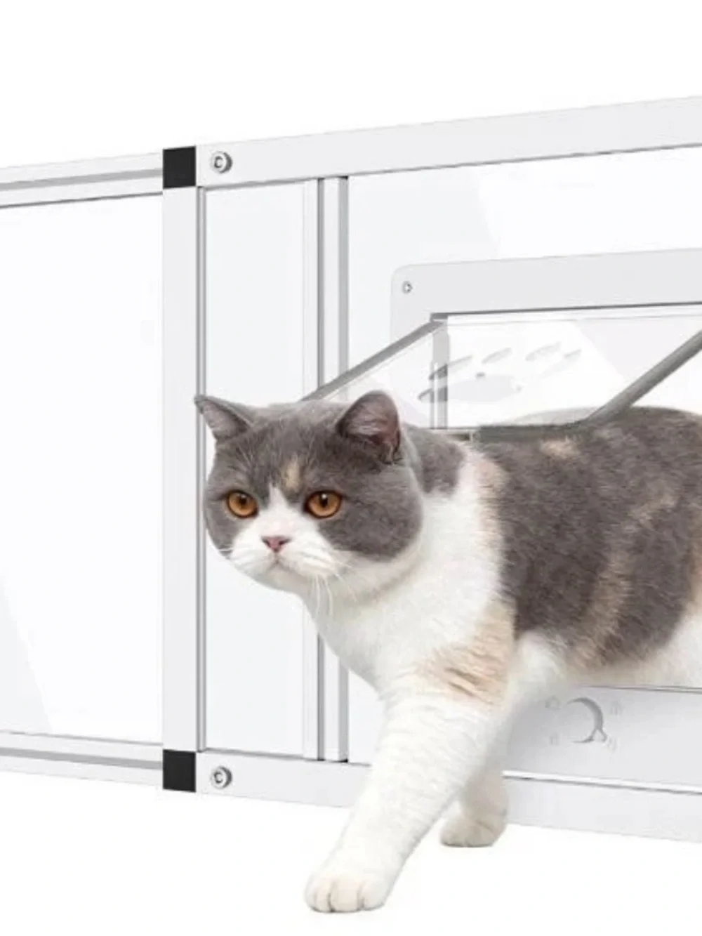 White Cat Door Panel with Clear Pet Flap - Small Pets